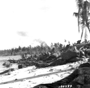 SC 190499 - Infantry of the 163rd Regiment, 41st Division,… photo