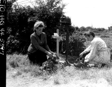 SC 190627 - Women of Carentan, recently occupied by Americ…