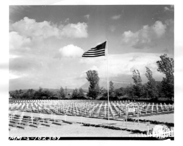 SC 187739 - General view of the Mt. Soprano American cemet…