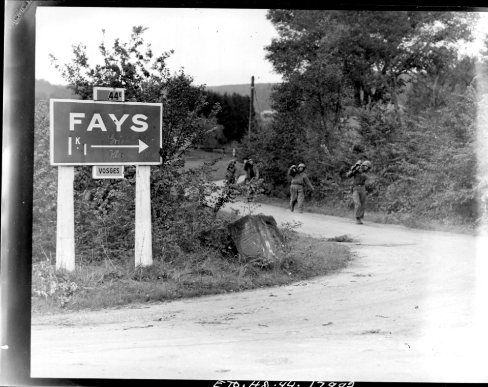 SC 411768 - Members of Company I, 143rd Regiment, 36th Div…