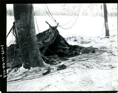 SC 246897 - Pvt. Jesse Kenner, Mooresburg, Tenn., of HQ Co…