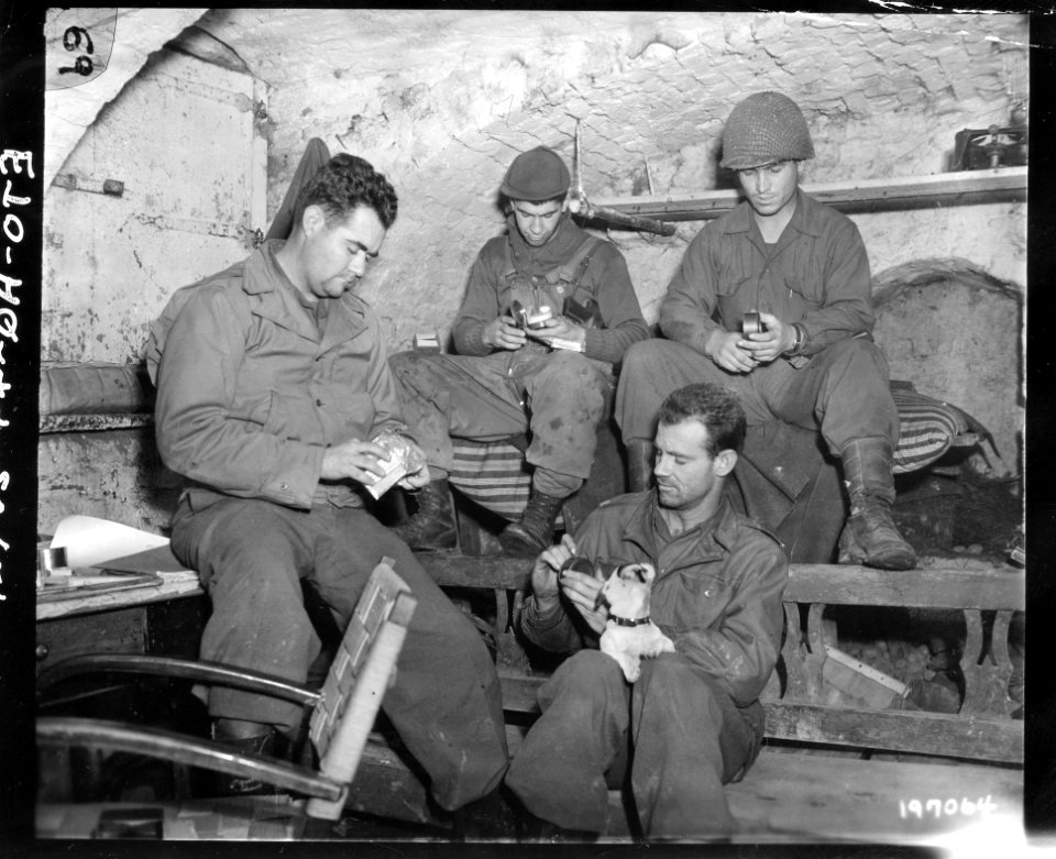 SC 197064 - These men of 3rd Battalion, 117th Infantry, 30…