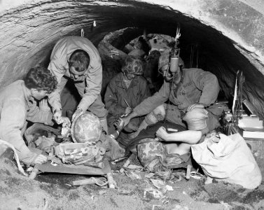 Marines, wounded in the battle for Iwo Jima, are sheltered… photo