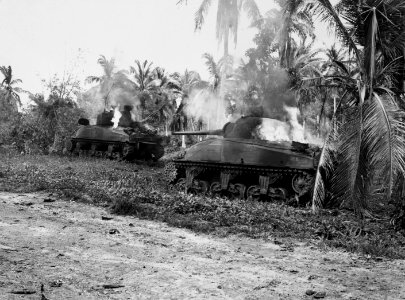 Enemy anti-tank guns accounted for these two tanks burning…