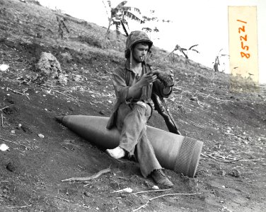 Using an unexploded 16 inch naval shell for a resting plac…
