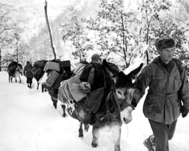 Staff Sergeant Eric A. Kangas (86-C) and other 10th Mounta…