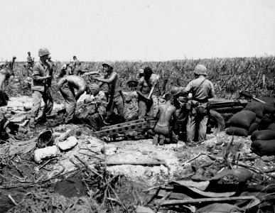 Fourth Division Marines set up their 75-mm howitzers near …