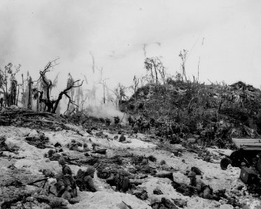 1st Division Marines on the beach at Peleliu, 1944. photo