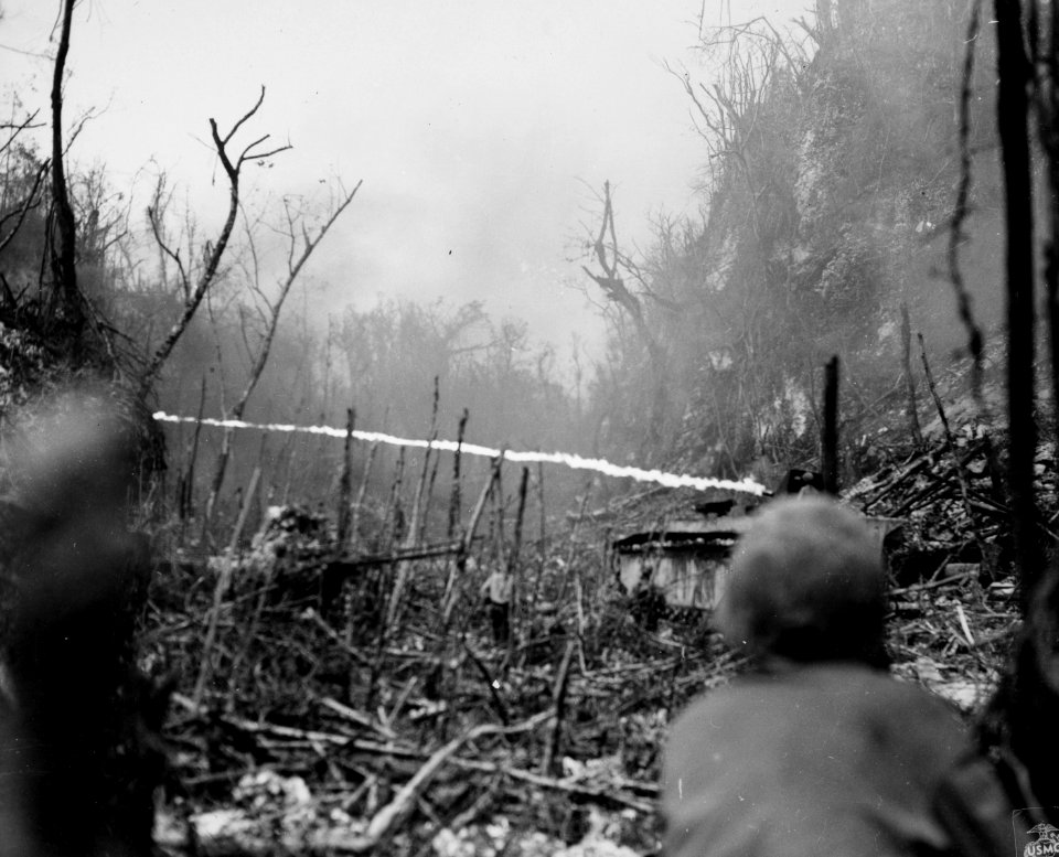 Groups of the enemy forces on Peleliu, who were left in th…