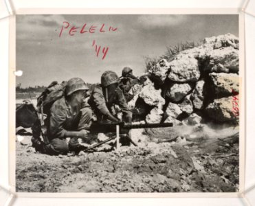 From the cover of a pile of coral rock on Peleliu beach, M… photo