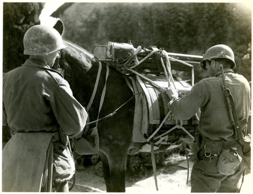 Members of the 1st Battalion, 86th Infantry Regiment, 10th…