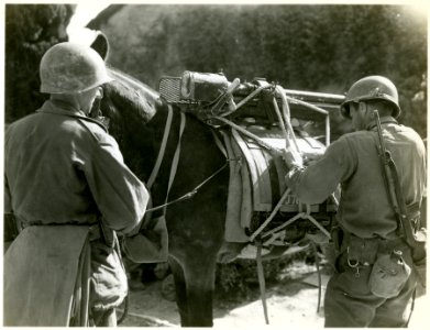 Members of the 1st Battalion, 86th Infantry Regiment, 10th…