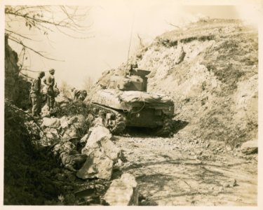 After the 126th Mountain Engineers, 10th Mountain Division…