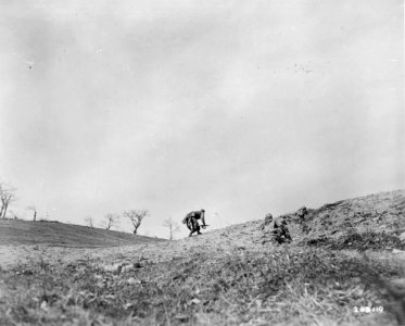 SC 203119 - Riflemen of the 10th Mountain Division advance…
