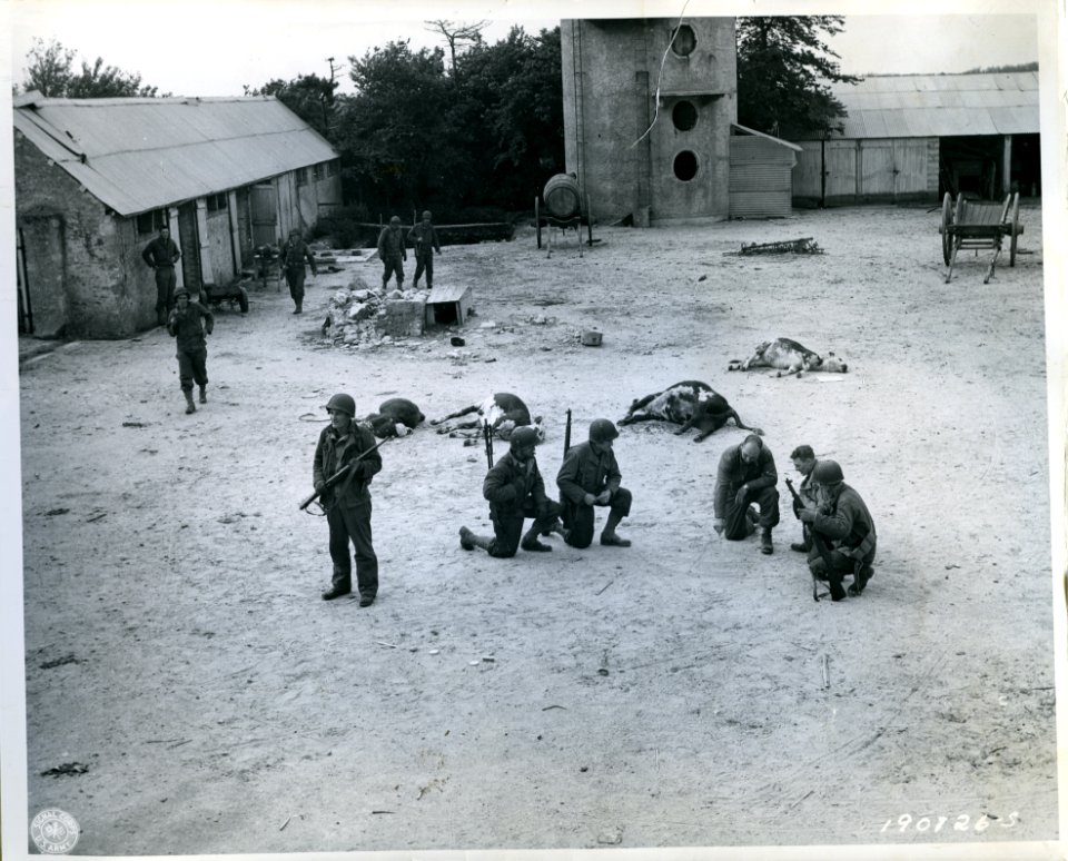 SC 190126 - In the yard of a farmhouse they have just clea…