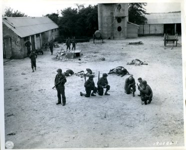 SC 190126 - In the yard of a farmhouse they have just clea… photo