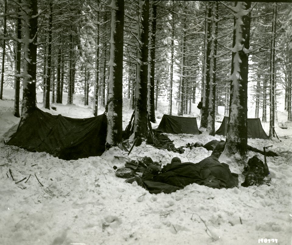 SC 198777 - Members of the 75th Division in the woods for …