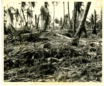 Dead American soldier on Kwajalein, 31 January, 1944. photo