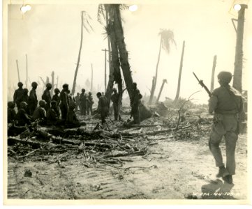 A Jap prisoner who had been hiding in water alongside larg… photo