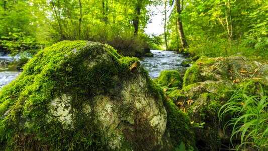 Seefeld moss stone stone
