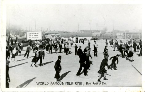 World Famous Milk Rink photo