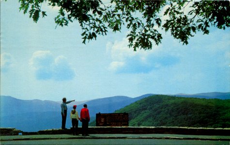lookout sixties