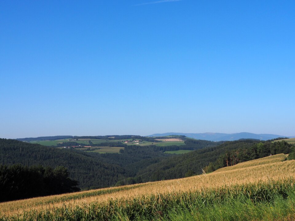 Alpine landscape alm