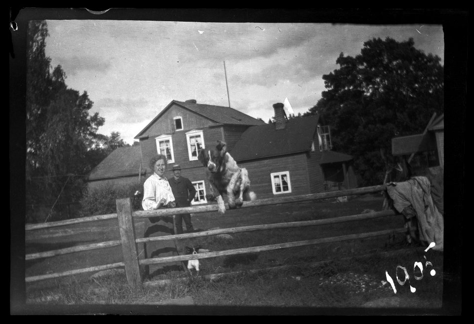 HS Filmer sida 2.59, 1905