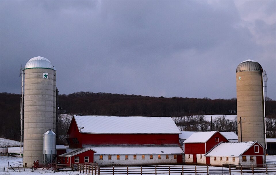 Barn fence winter season