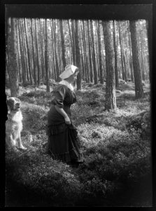 HS Ask 1.24, 1904
