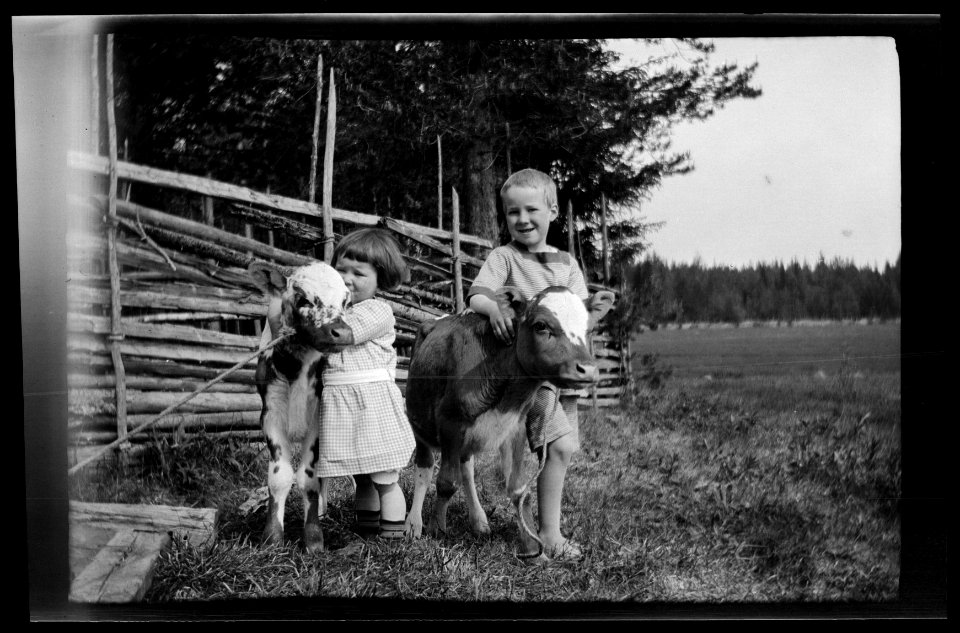 HS Familjeliv 1917 287, 1917