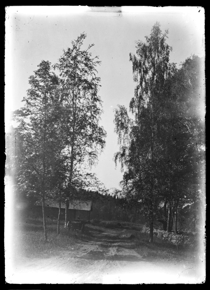 HS Ask 11.19, 1891
