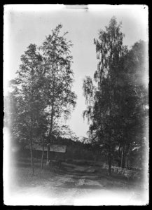 HS Ask 11.19, 1891