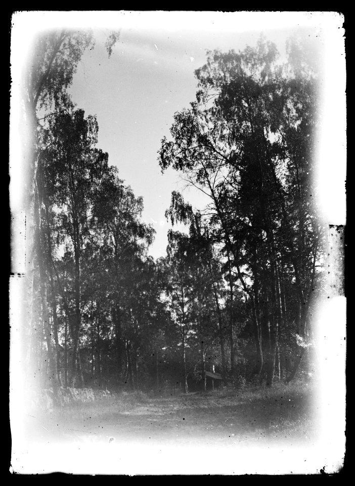 HS Ask 12.7.1, 1896