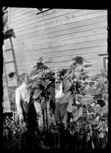 HS Ask 4.57, 1900