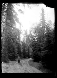 HS Ask 12.2, 1896