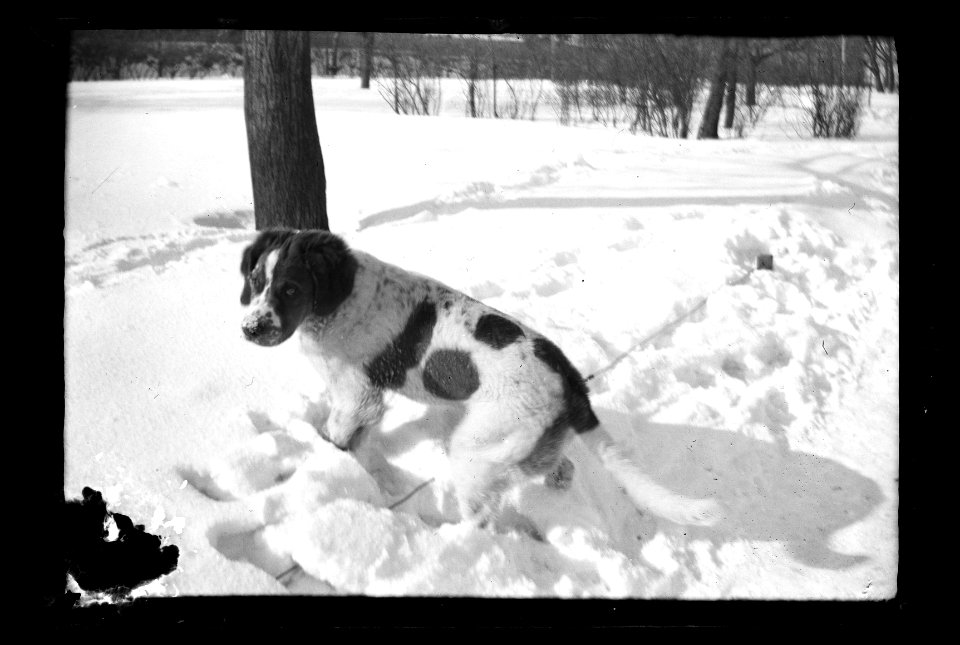 HS Filmer sida 2.52.7, 1903
