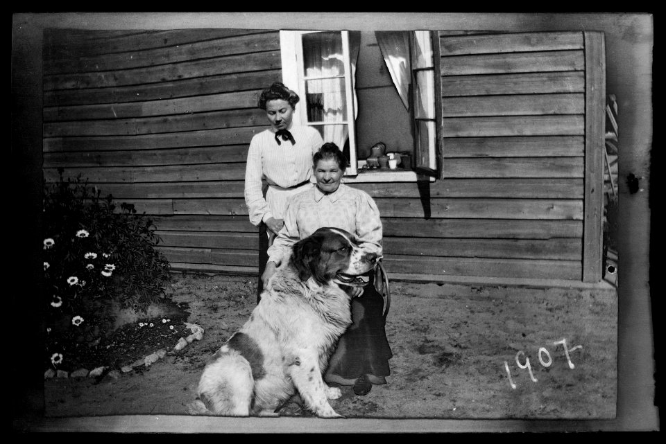 HS Familjeliv 1907 78, 1907