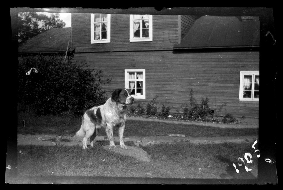 HS Filmer sida 2.60, 1905