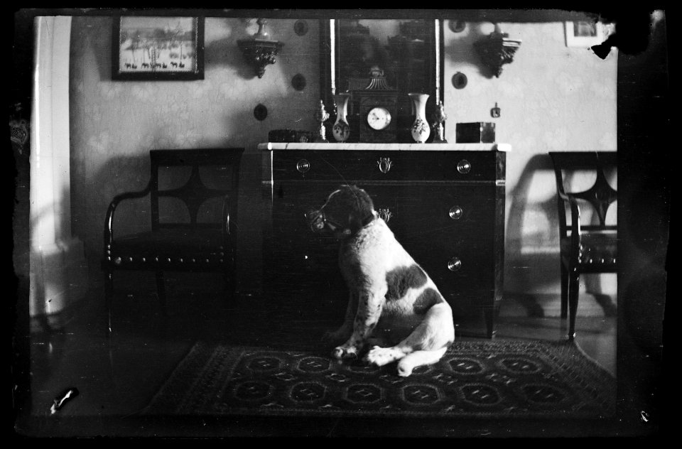 HS Filmer sida 2.51, 1906