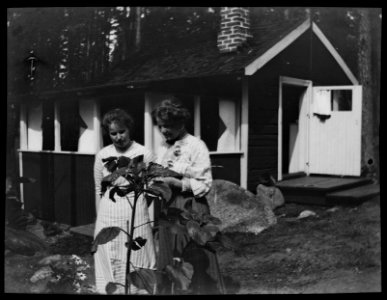 HS Familjeliv 1913 174, 1913