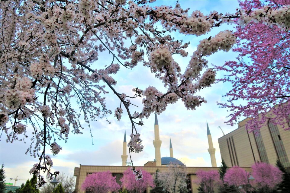 Cami religion minaret