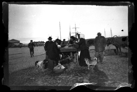 HS Vyer 18, 1900