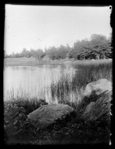 HS Ask 1.15, 1895