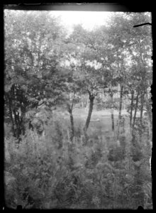 HS Ask 1.26.1, 1896