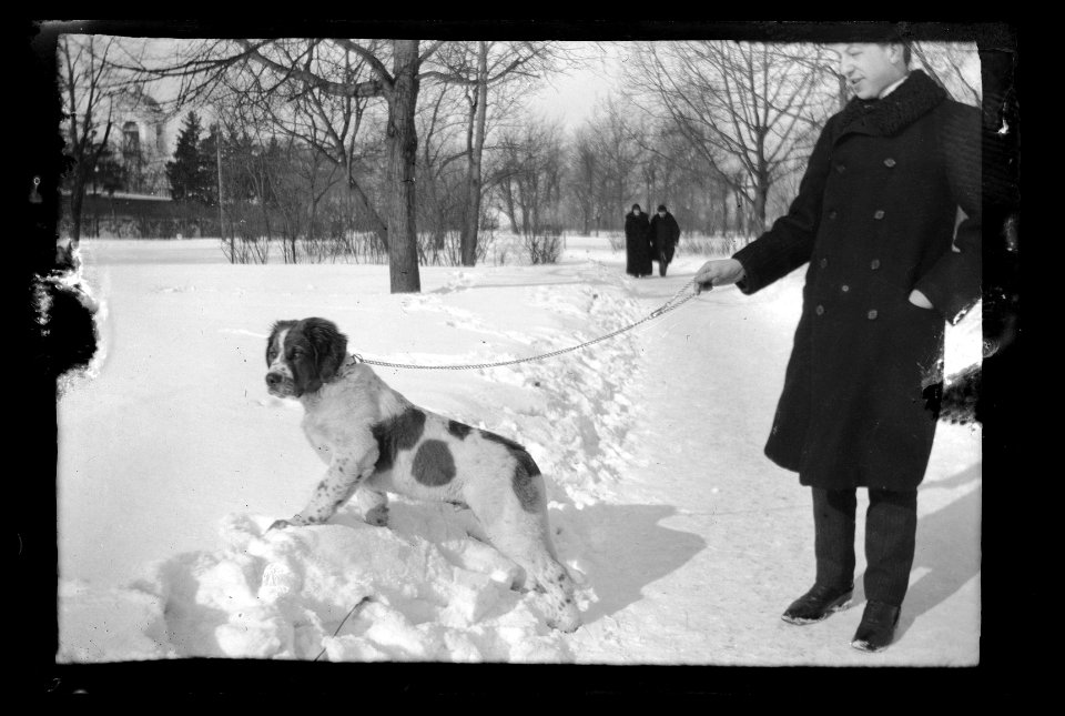 HS Filmer sida 2.52.6, 1903
