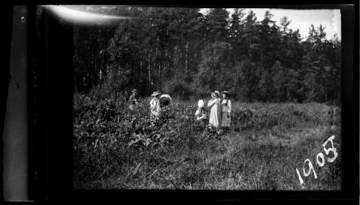 HS Familjeliv 1905 55, 1905