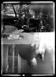 HS Ask 16.5, 1891