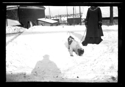 HS Filmer sida 2.52.1, 1903