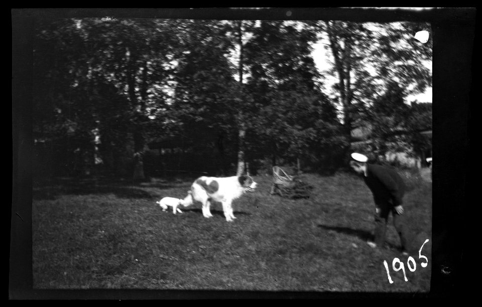 HS Familjeliv 1905 52, 1905
